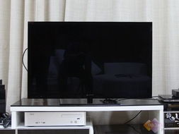 不只是甜蜜 從一臺(tái)液晶電視，細(xì)數(shù)婚姻生活的多重維度